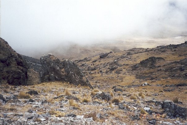 755_46286638893_2652_n